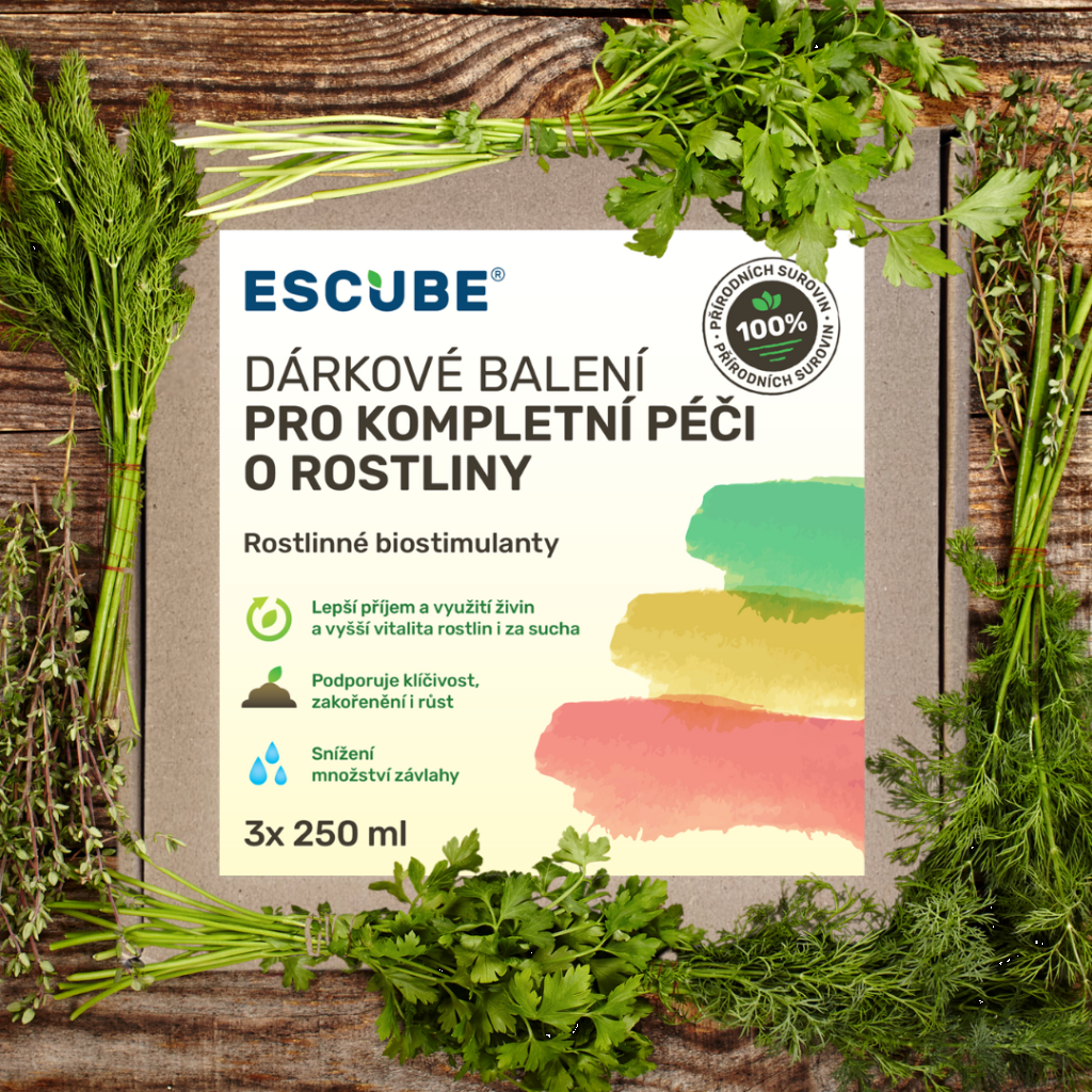 Dárkové balení 7_cz--cs-CZ